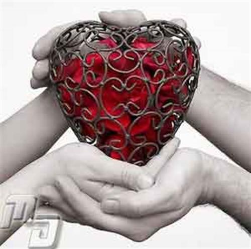 behzad&nbsp;dar be   dar